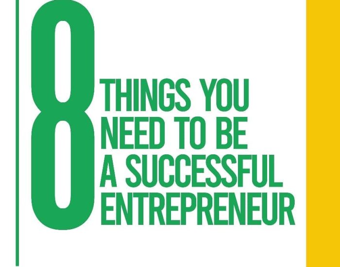 8 THINGS YOU NEED TO BE A SUCCESSFUL ENTREPRENEUR